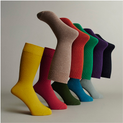 365日を彩る、50色。