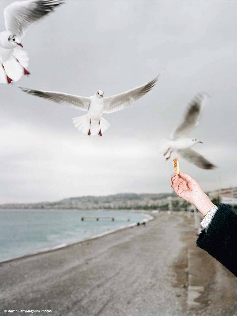 Magnum Photos
