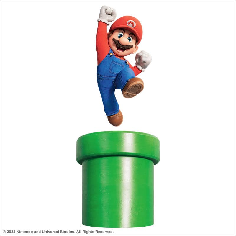 THE SUPER MARIO BROS. MOVIE