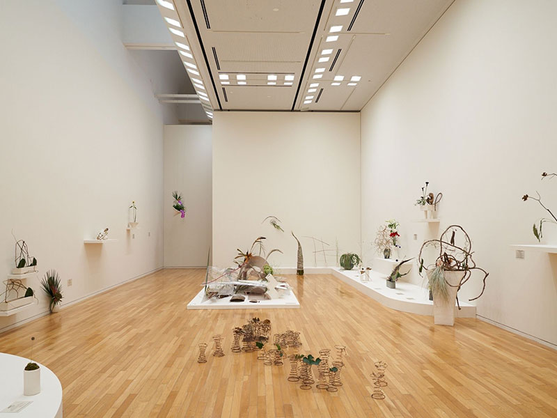 The Louvre x Camille Henrot