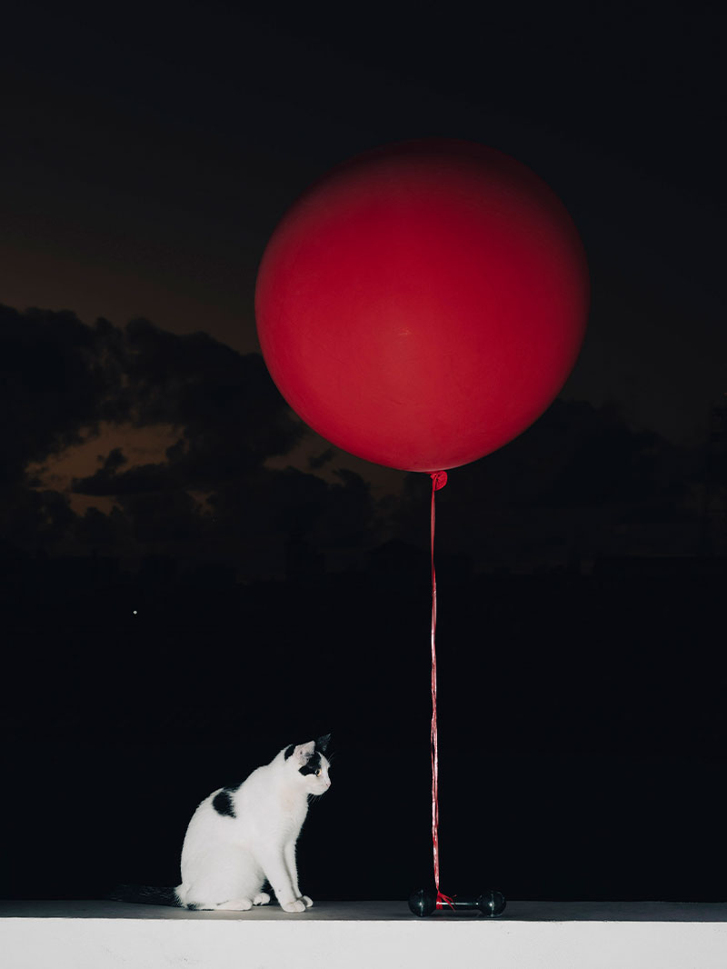 MAGNUM PHOTOS as seen by COCO CAPITAN