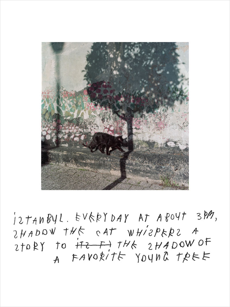 MAGNUM PHOTOS as seen by COCO CAPITAN