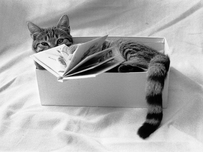 MAGNUM PHOTOS as seen by COCO CAPITAN