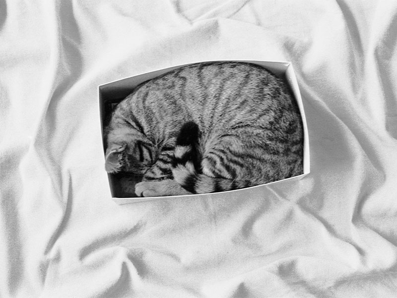 MAGNUM PHOTOS as seen by COCO CAPITAN