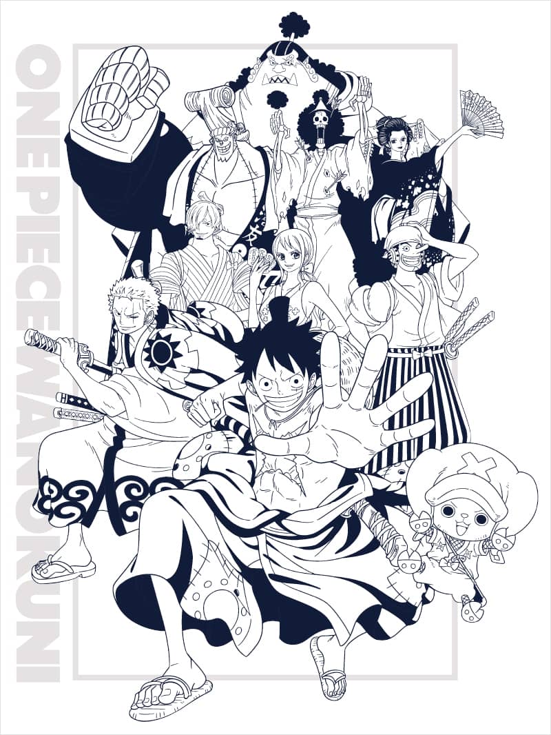 TV Anime ONE PIECE