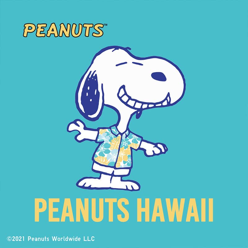 PEANUTS HAWAII