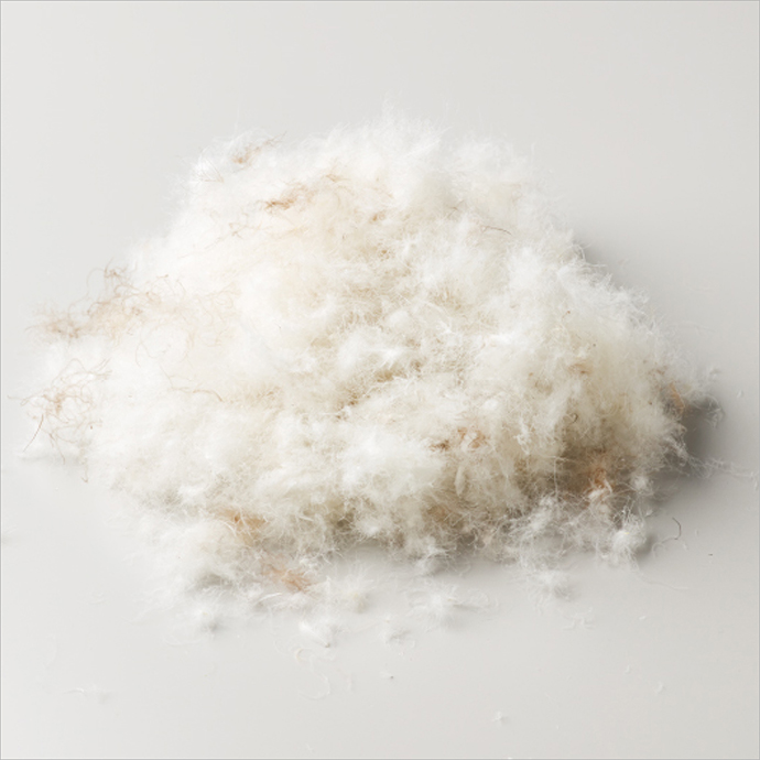 ダウンとフェザーの責任ある調達